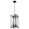 Z-Lite Easton Chandelier, 4-Light, 9.25 In.W x 18.75 In.H, Matte Black/Matte Black 3038-4MB - alternate 4